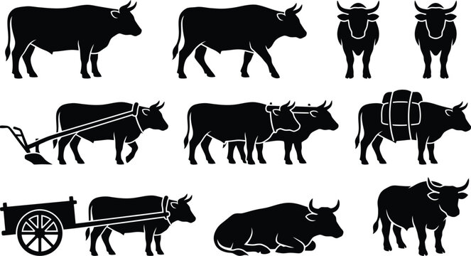 Collection of Nine Black and White Silhouettes of Bulls and Oxen in Various Poses cattle animal