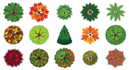 Tree Top Views Colorful Vector Illustration On White Background © rita