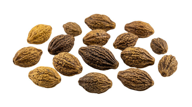 Dried haritaki fruits isolated on transparent background