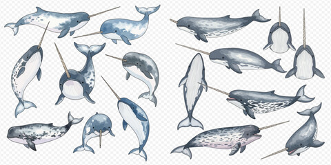 Collection of watercolor narwhals in various poses, showcasing their unique tusks and marine beauty. © Ytaja