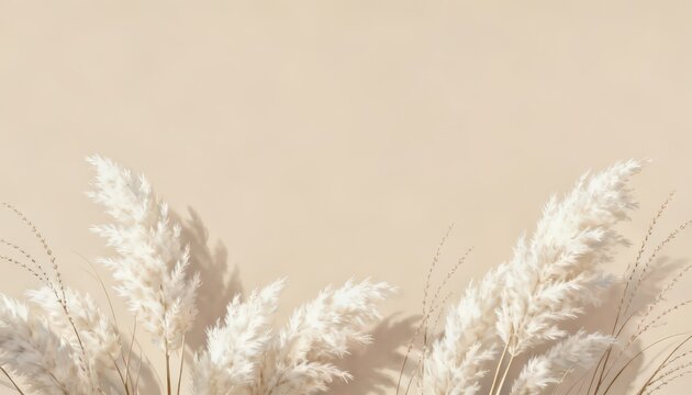 Soft Beige Pampas Grass Background with Minimal Natural Texture
