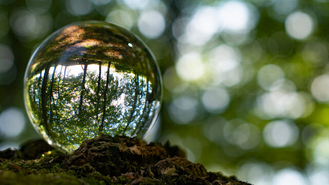 World Globe map on a glassball with nature inside and being out in the nature and in the forest in Denmark/Scandinavia. To illustrate how the world are connected to nature and are carrying nature...to