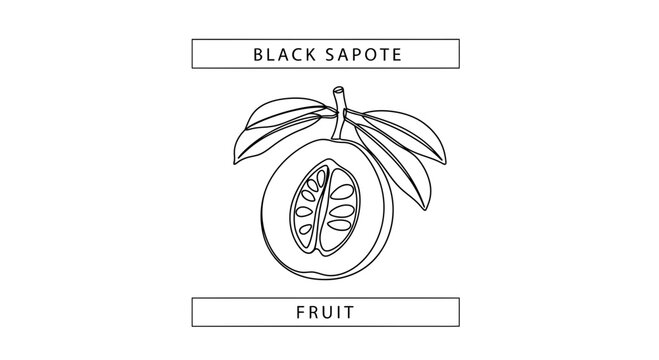 Black Sapote Fruit Cut in Half, Showing Seeds and Pulp - Line Art Illustration