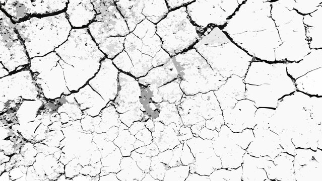 Cracked earth texture with irregular fissures a grayscale pattern on a white background arid breakage