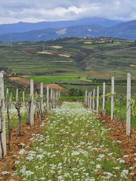 Scenic countryside landscape in central Albania near the city of Belsh Q&euml;nd&euml;r