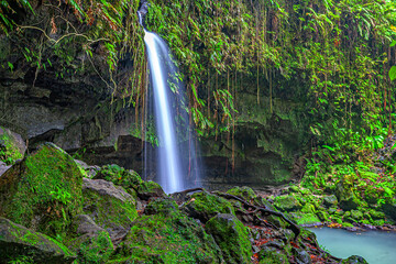 Obraz premium Morne Trois Pitons National Park, Emerald Pool