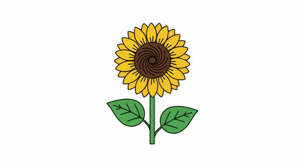 Obraz premium A simple, stylized sunflower with yellow petals and a brown center on a green stem with two leaves