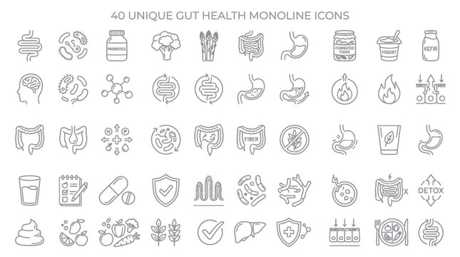 Collection of 40 unique monoline icons representing gut health, digestion, and wellness with medical and food elements.