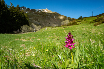 Obraz premium frignano regional natural Park Modena Apennines Monte Cimone and nature reserve