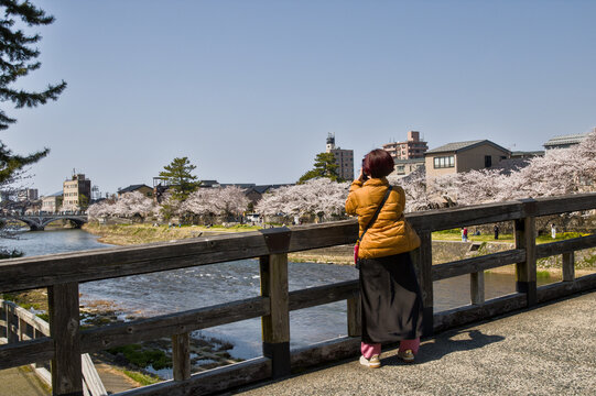 Woman taking photos of the Asano River from Umenohashi Bridge during spring in Kanazawa, Japan