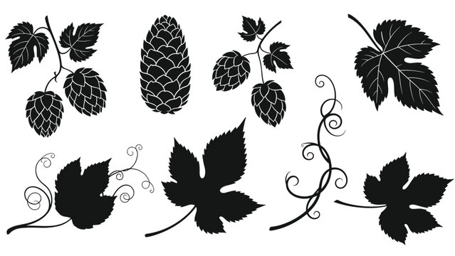 Detailed collection of black hop silhouettes including cones, leaves, and vine tendrils for brewery and craft beer related designs.