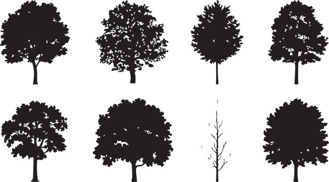 Set of black silhouettes of different deciduous trees