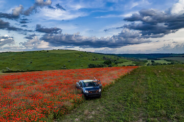 Fototapeta premium Aerial View of Traveler and Pickup Truck in Blooming Red Poppy Field in Moldova