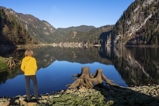 The Vordere Gosausee in autumn with a view of the Gasthof Gosausee. A hiker stands by the lake. Two uprooted tree stumps on the right. Reflection. Blue sky, good weather. Vorderer Gosausee, Gosau, Gosau Valley, Salzkammergut, Upper Austria, Austria