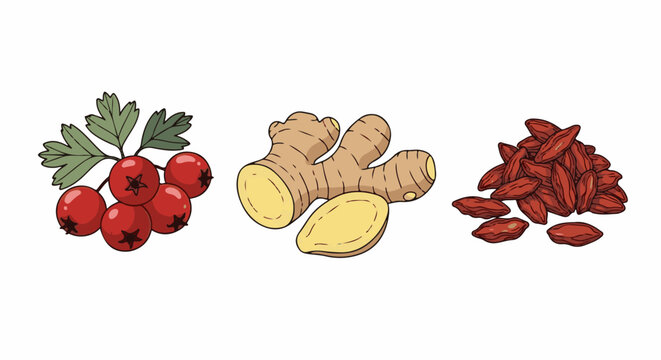 A vibrant illustration showcases a cluster of red berries, a sliced ginger root, and a pile of dried goji berries