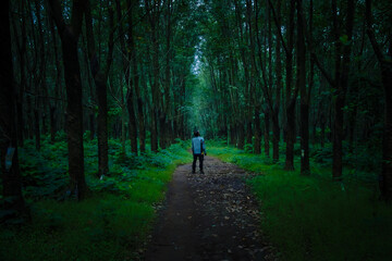 Fototapeta premium Rear view of a man standing on a dirt path in a dark, atmospheric green forest with a cinematic moody vibe.