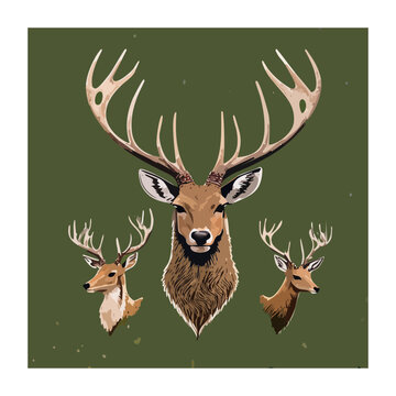 Male Deer