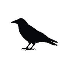 Obraz premium Simple crow silhouette vector flat illustration design.