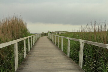 Obraz premium A wooden bridge over water