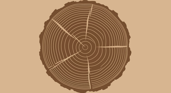 A detailed illustration showing the circular growth rings of a cut tree trunk