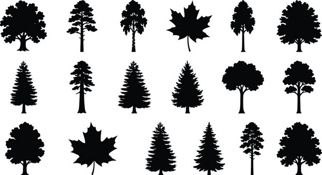 Black pine tree set, minimalist line isolated on white background, tree black line, minimalist tree silhouette
