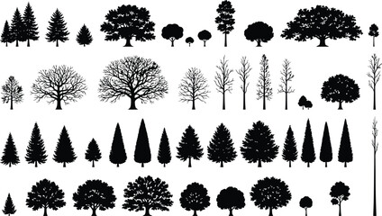 Different types of trees illustration set with green and bare black silhouettes Vector © MstSonia