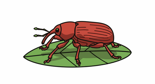 Cartoon red weevil with pointed snout and antennae on a green leaf