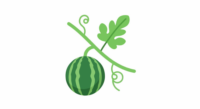 A small green watermelon hangs from a vine with leaves and tendrils