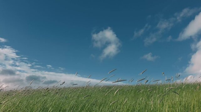 Green pastureland on a highland swaying in strong winds