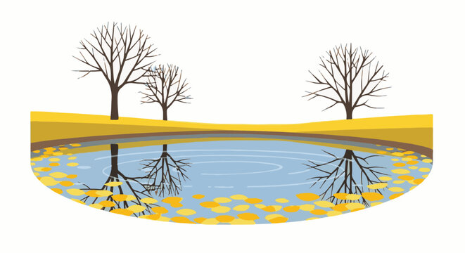 Bare trees reflect in a calm pond adorned with scattered yellow autumn leaves