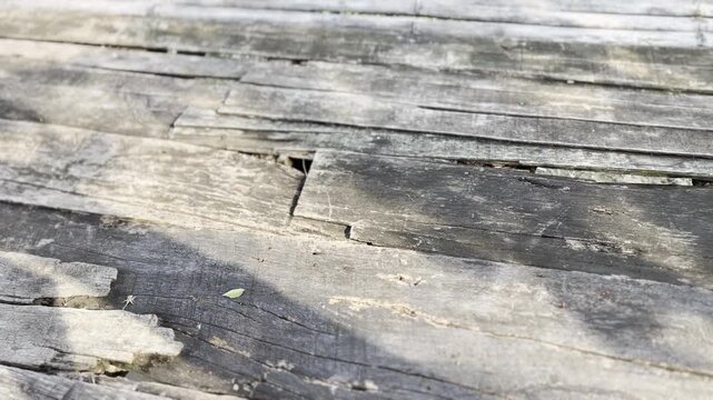 Dark weathered timber plank with deep cracks close up view