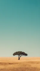 Lonely tree in the savanna © Purple Banana