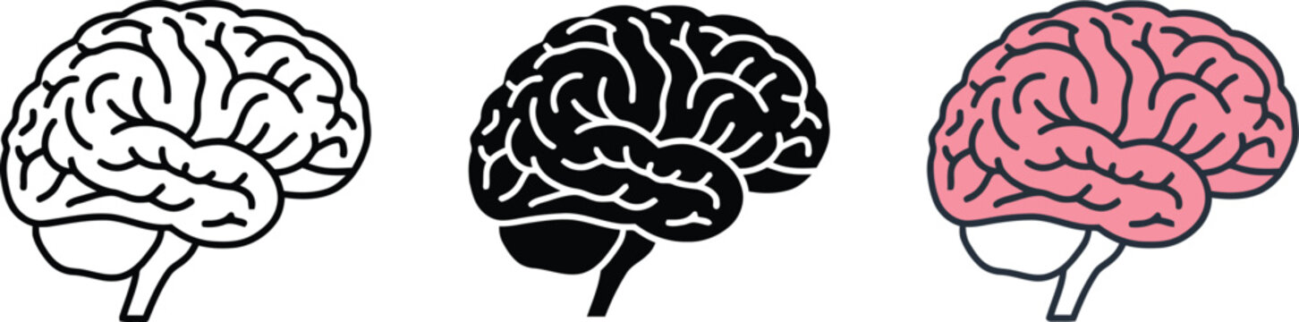 Three stages of brain thinking and memory illustration from empty to full with colorful parts Vector