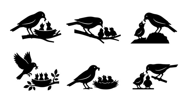 Bird Family Feeding Scenes, Parent Bird Caring for Chicks in Nest, Nature Wildlife Vector Icons