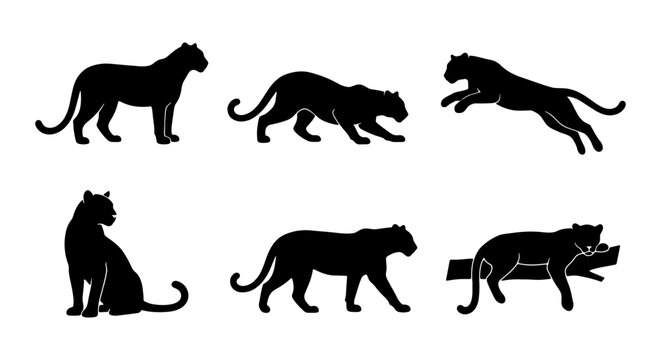 Black Panther Silhouettes: Dynamic Poses Vector Set, Wild Cat Icons, Elegant Feline Graphics