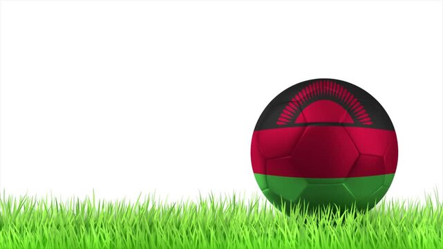 MALAWI Flag Soccer Ball Rolling on Green Grass Animation with Copy Space