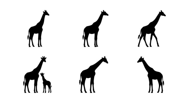 Giraffe Silhouettes Collection: Six Diverse Poses, Animal Icons for Wildlife Design, Safari Graphics