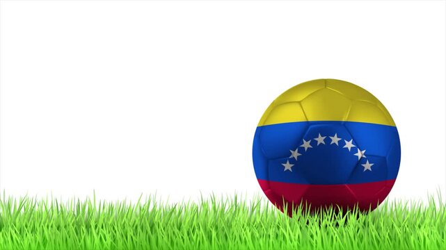 VENEZUELA Flag Soccer Ball Rolling on Green Grass Animation with Copy Space