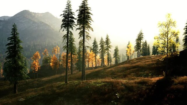 A peaceful forest landscape captures the suns rays shining through tall trees, highlighting vibrant autumn foliage in a serene mountainous area. Nature showcases its beauty.