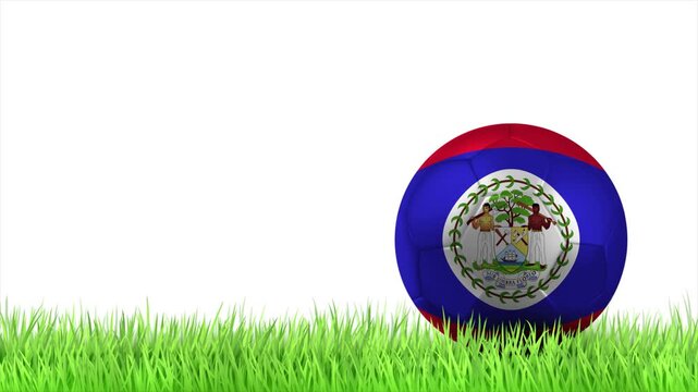 BELIZE Flag Soccer Ball Rolling on Green Grass Animation with Copy Space
