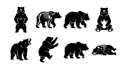 Diverse Bear Silhouettes Collection, Vector Graphics Set, Animal Poses, Wildlife Icons, Nature Elements, Graphic Resources © Harun
