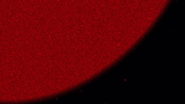 Distressed Analog Filmstrip Scan with Dynamic Crimson Light Leaks and Vertical Scratches for Nostalgic Motion Graphic Compositing 4k video