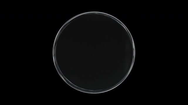 Glass 3d disc, circle, round shape rotating on black looping animation