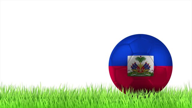 HAITI Flag Soccer Ball Rolling on Green Grass Animation with Copy Space