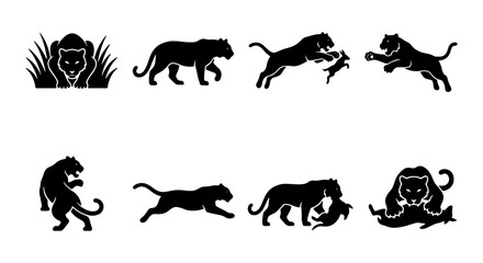 Black Panther Silhouette Icons Set, Wild Cat Hunting Actions, Predator Vector Graphics, Fierce Big Cat Poses, Animal Wildlife Collection © Shanjida