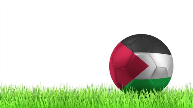 PALESTINE Flag Soccer Ball Rolling on Green Grass Animation with Copy Space