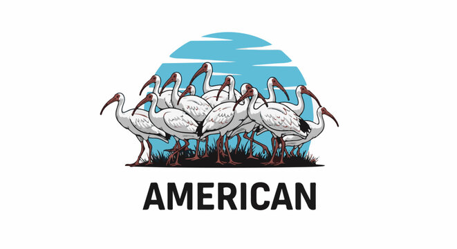 Flock of white birds with curved beaks stand on grass before a blue, striped sky