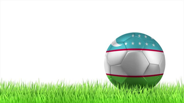 UZBEKISTAN Flag Soccer Ball Rolling on Green Grass Animation with Copy Space