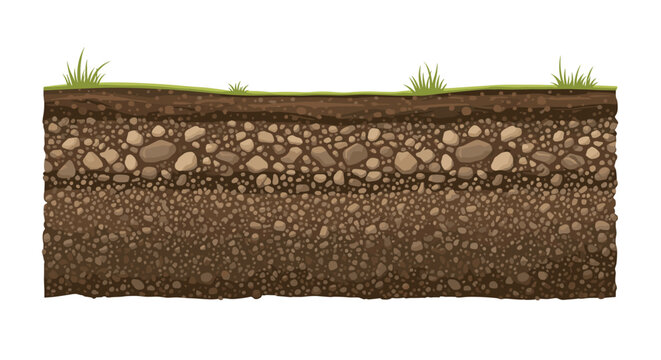 Detailed cross-section of a soil profile showing different layers of earth, rocks, and grass on the surface for geology education.