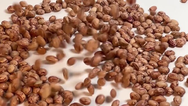 Pouring Raw Pinto Beans Close-up Slow Motion, Dried Organic Cranberry Beans Dropping on White Surface Heap, 16:9 Landscape Pulses Grains Ingredients Slowmo Stock Footage